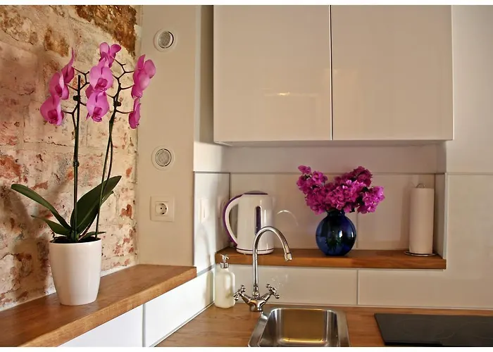 Tragurion 特罗吉尔