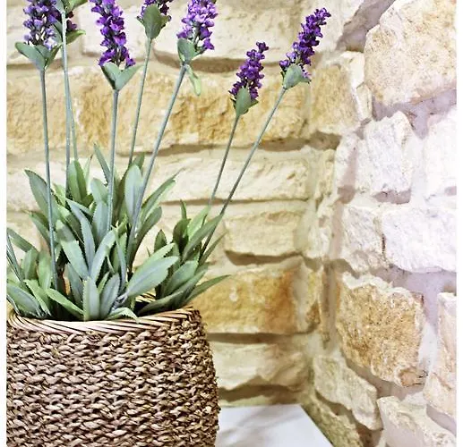 Pensionat Tragurion 3*