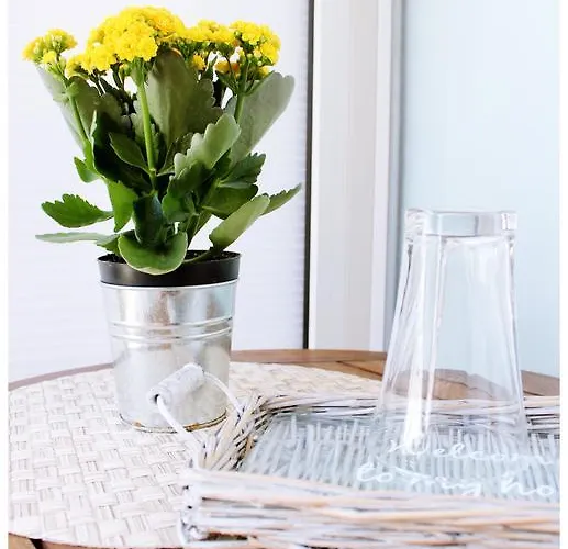 Vendégház Tragurion Trogir